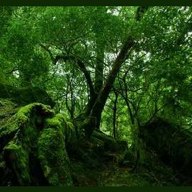 Earth