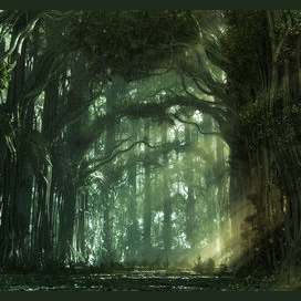 Forest