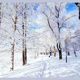 Winter