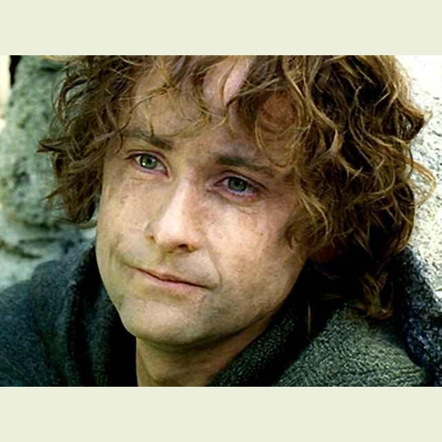 Pippin