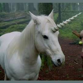 Unicorn