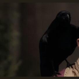 Crow