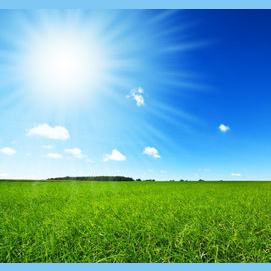 Sunny