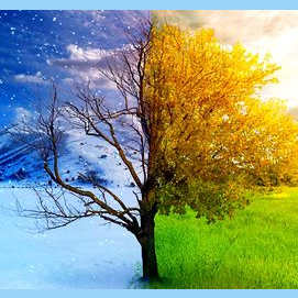 Winter into Spring!