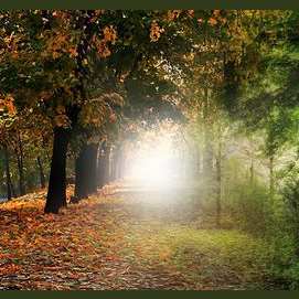 Summer into Fall!