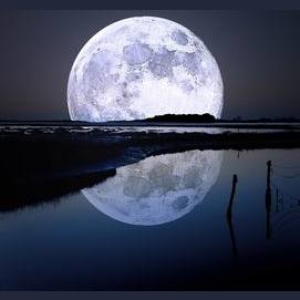The Moon