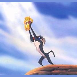 "Circle of Life" - Lion King