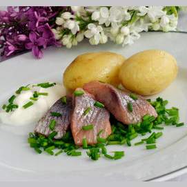 Herring