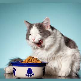 Eating