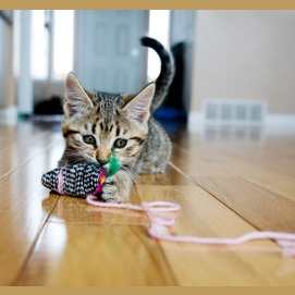 Playing