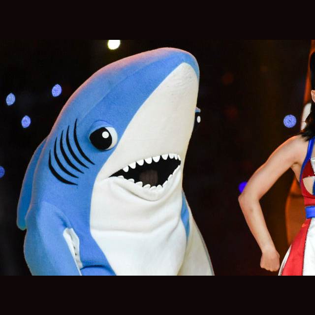 Left Shark