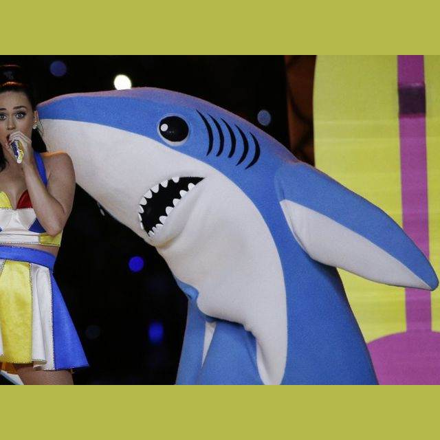 Right Shark