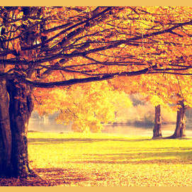 Fall