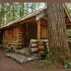 A rustic cabin