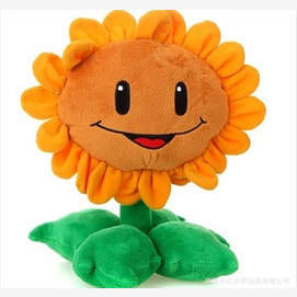 A Sunflower 