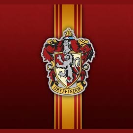 Gryffindor-the brave, daring and determined