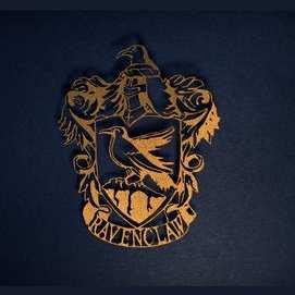 Ravenclaw-the intelligent, witty and hungry for knowledge