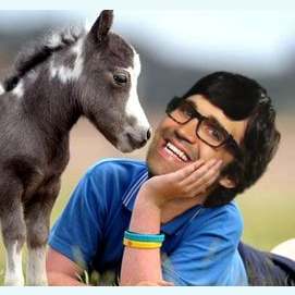 Animals