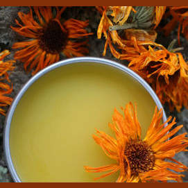Herbal salve