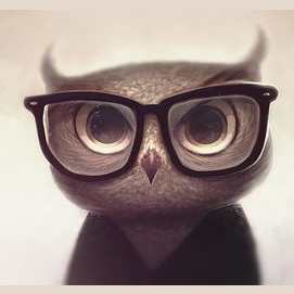 Nerd
