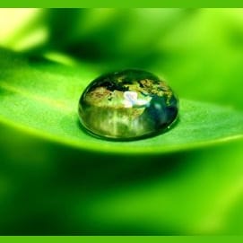 Earth