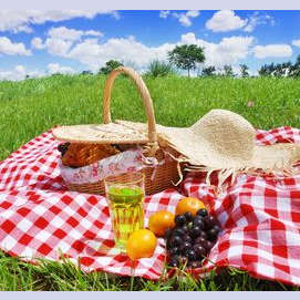 Picnics in the park