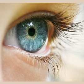 Sight