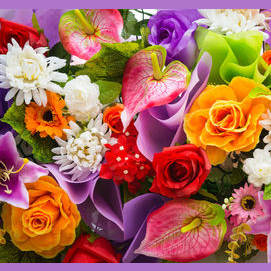 Bright colors
