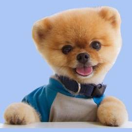 JIFFPOM!  obviously!