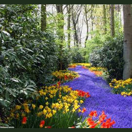 Spring