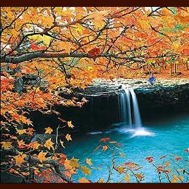 Fall