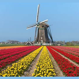 The Netherlands