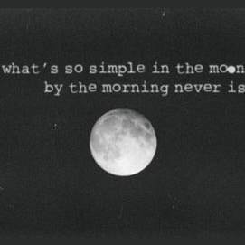 The Moonlight