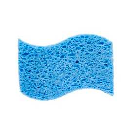 Sponge