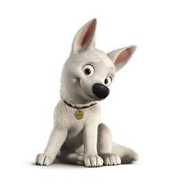 Bolt