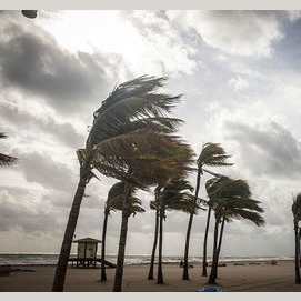 Hurricane