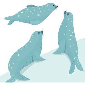 Seals