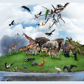 Protecting wildlife