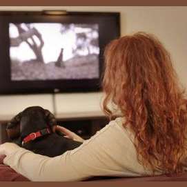 Watch T.V