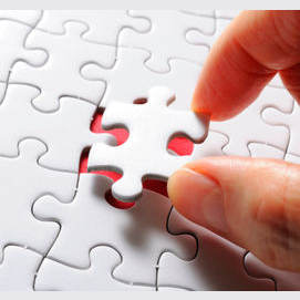 Solving a complex puzzle