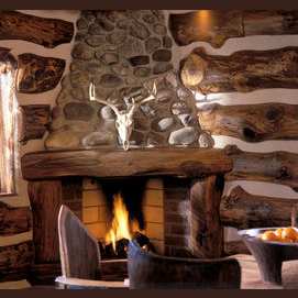 A quiet cabin in the woods