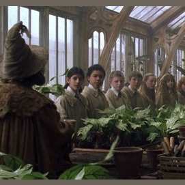 Herbology