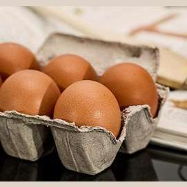 Egg
