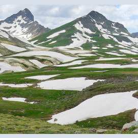 Ууланд