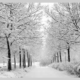 Winter 