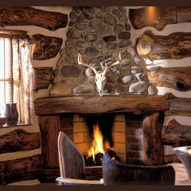 A cabin in the woods