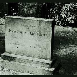 James and Lily's gravestones. How could harry destroy those?