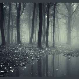 Somewhere dark