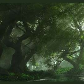 The forest
