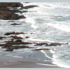 The Sea !